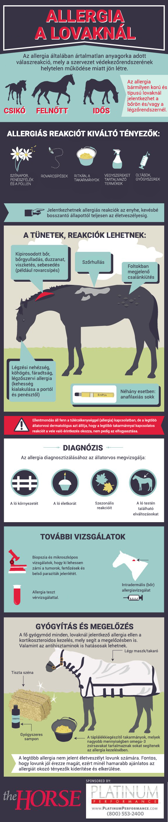 Infografika - Allergia a lovaknál